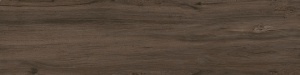 SG522800R Сальветти коричневый обрезной 30х119,5